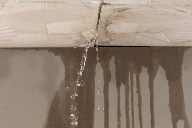 Professional Flood Damage Cleanup technician working in Forest Park, IL